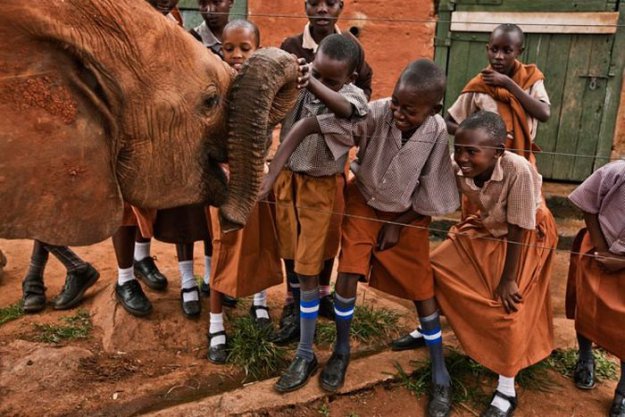 Детский дом для слонов в Кении