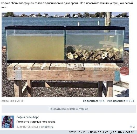 ������� �� ���. �����