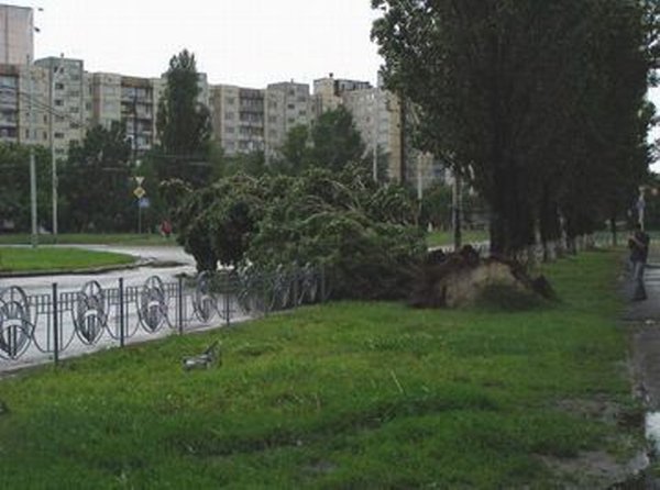 Бурелом после грозы в Киеве