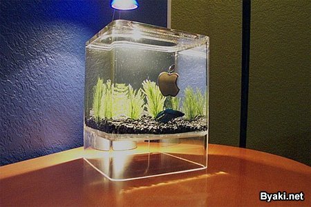 Необычные аквариумы