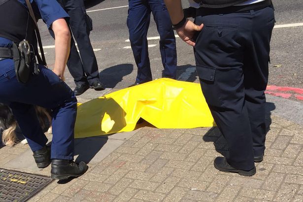В Лондоне женщина тащила за собой мертвую собаку