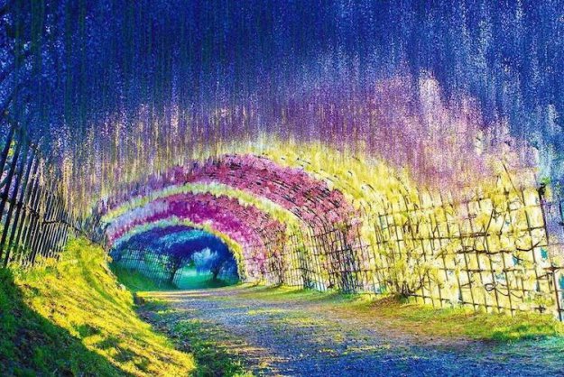 Потрясающие природные туннели со всего мира