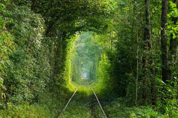 Потрясающие природные туннели со всего мира
