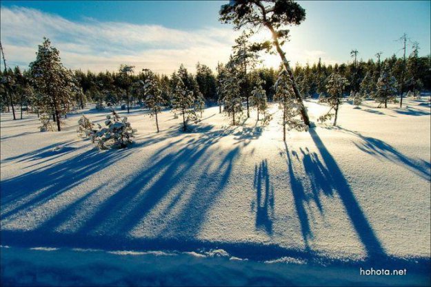 Прекрасные зимние фотографии