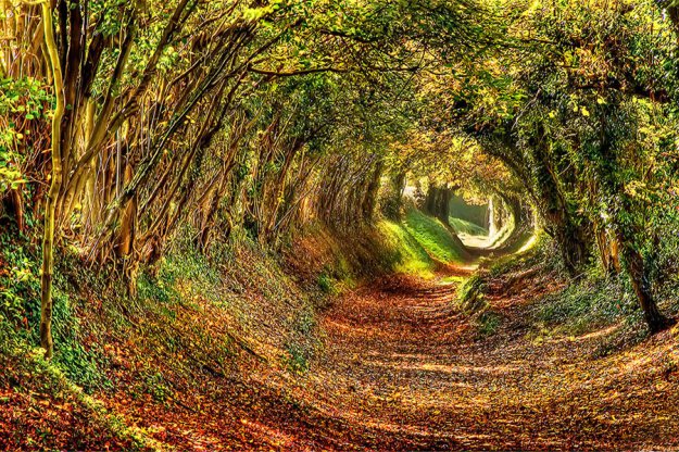 Сказочный тоннель в Англии