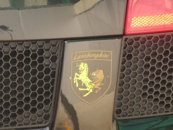 Логотип на Lamborghini, любителям Ferrari лучше не смотреть!