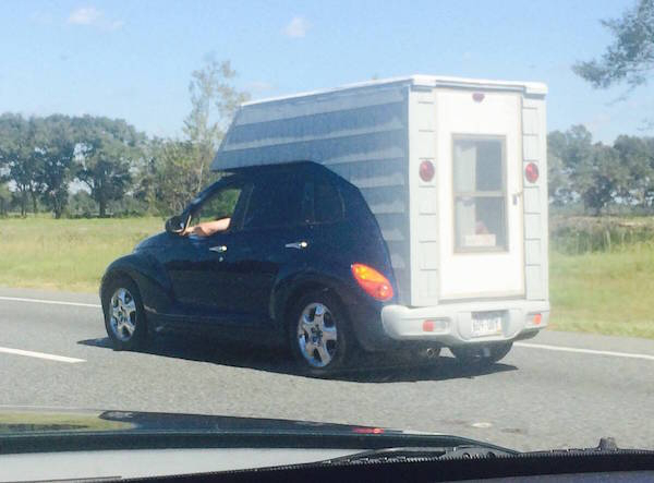 ������������..��������� ))