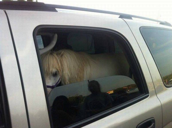 ������������..��������� ))