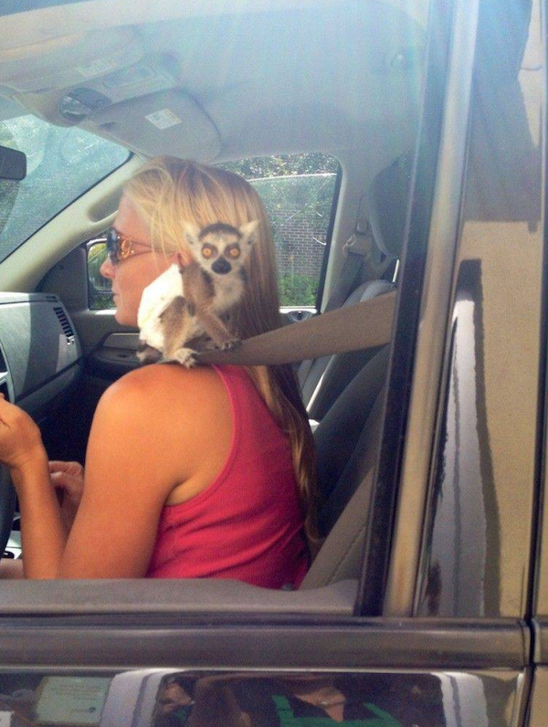 ������������..��������� ))