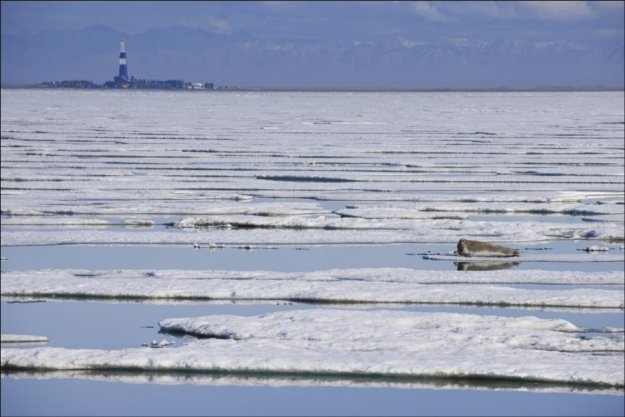 Аляска: Тут тоже когда-нибудь разольется нефть?