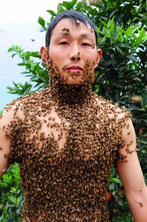 Одежда из пчел