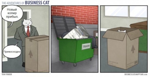 Если бы коты могли заниматься бизнесом