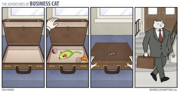 Если бы коты могли заниматься бизнесом