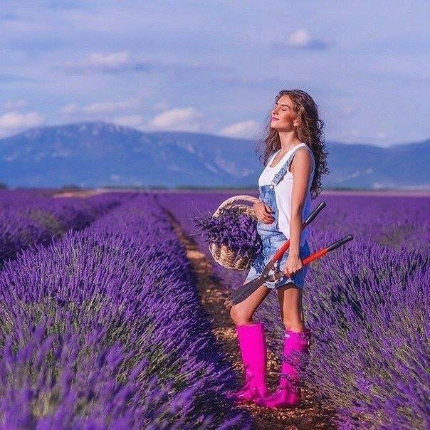 ����� �����... ))