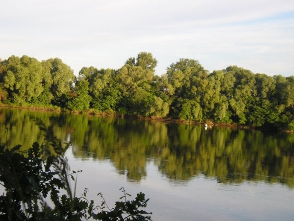 Desna river 2