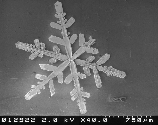 Снег под микроскопом