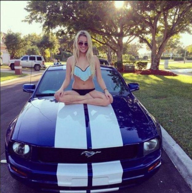 ������ ����