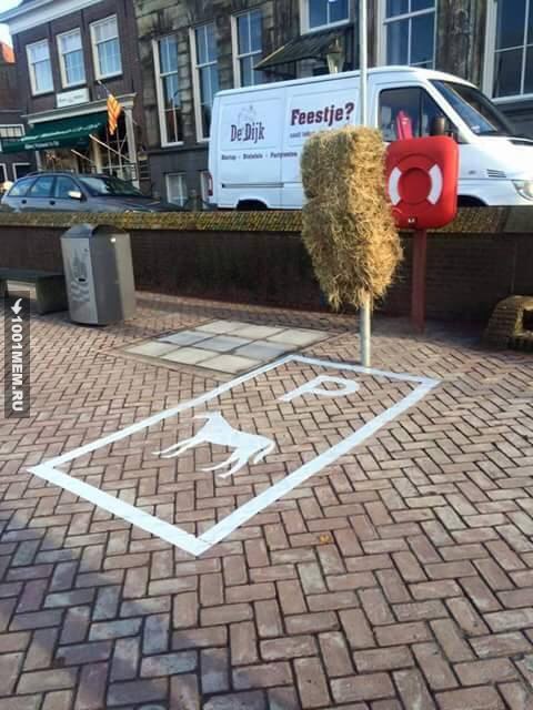 ����� �����... ))