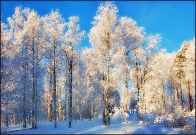 Зимняя Швеция