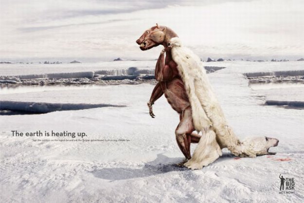 Креативная реклама с участием животных