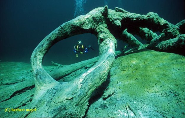 Подводный луг