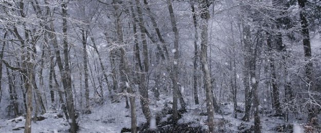 Волшебные зимние фотографии