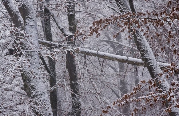 Волшебные зимние фотографии