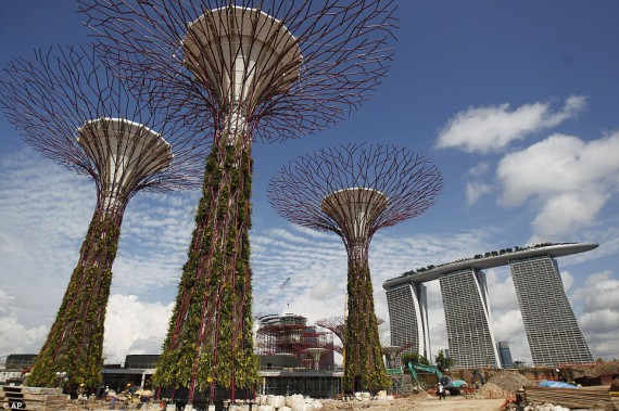 Супер-деревья в Сингапуре