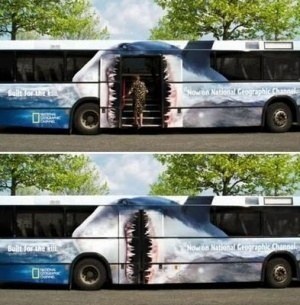 Забавный автобус