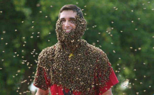 Ежегодные соревнования по пчелиной «бороде»...