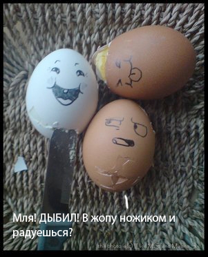 Жизнь яйца Михи и друзей