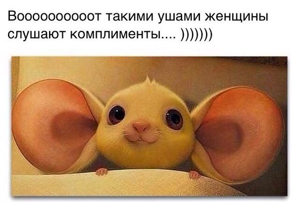�������, � ���������!!!!!!!!