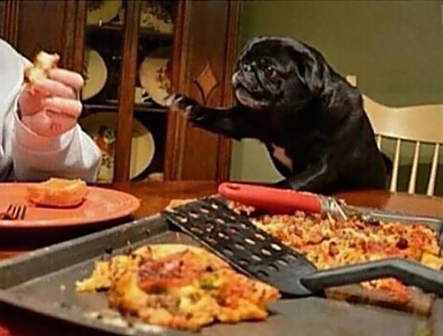 ����� �����... ))