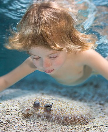   Zena Holloway