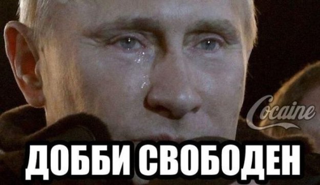 Путин Прикольные Фото