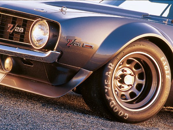 AMERICAN MUSCLE_2