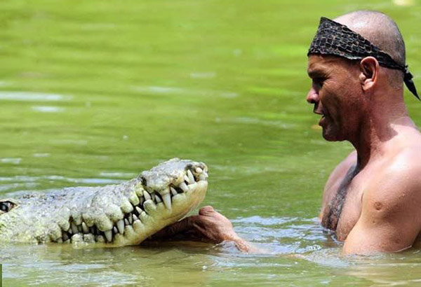 Дружба с крокодилом