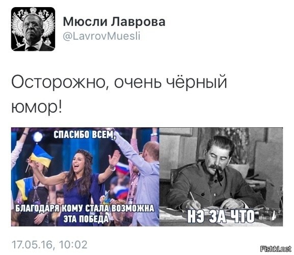 �����. ����