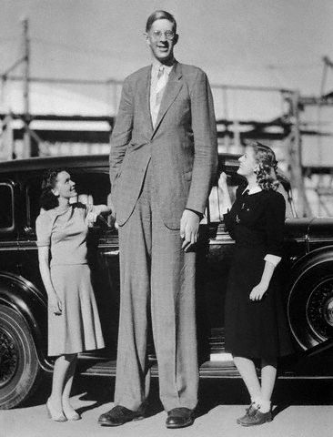 Самый высокий человек !