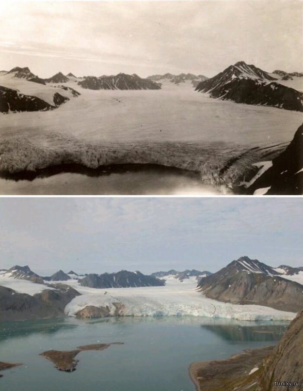 Арктика: 100 лет назад и сейчас