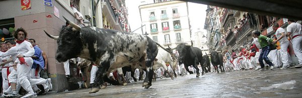 Pamplona Bull Running