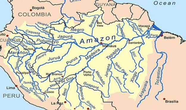 Факты об Амазонке