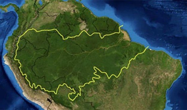 Факты об Амазонке