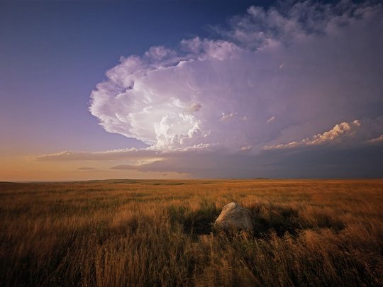   National Geographic   2011