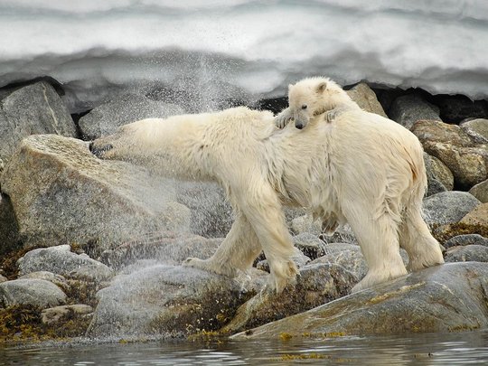   National Geographic   2011