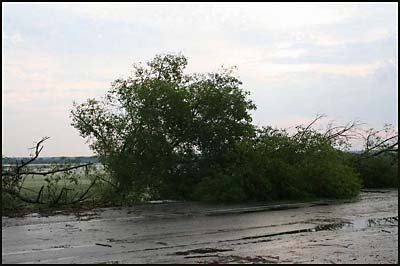 Мощный ураган разрушил Киевщину.