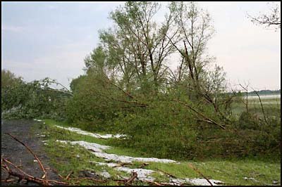 Мощный ураган разрушил Киевщину.