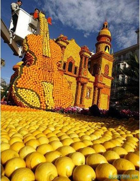Фестиваль лимонов