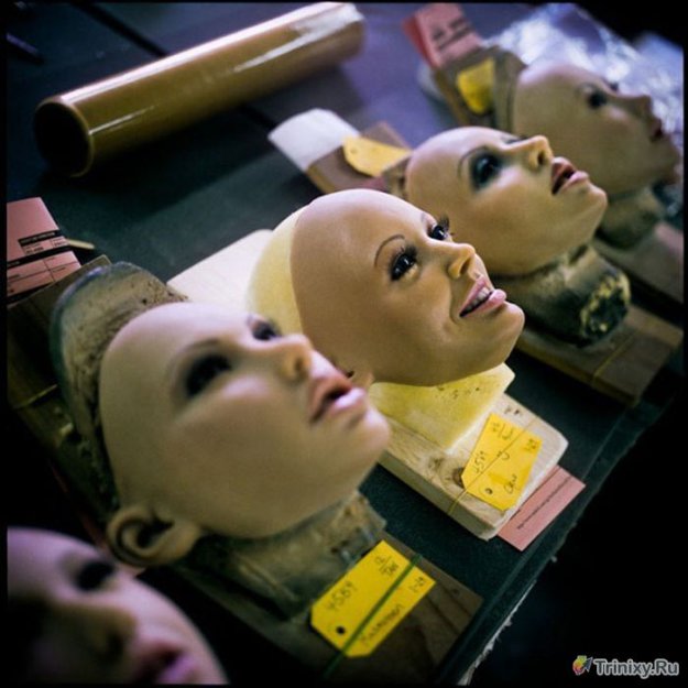 Производство секс-кукол в Калифорнии
