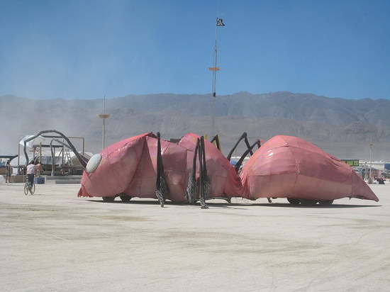 Burning man 2007